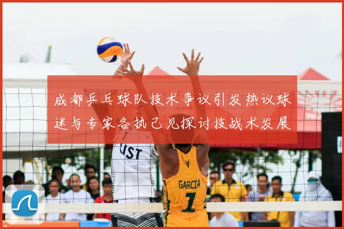成都乒乓球队技术争议引发热议球迷与专家各执己见探讨技战术发展