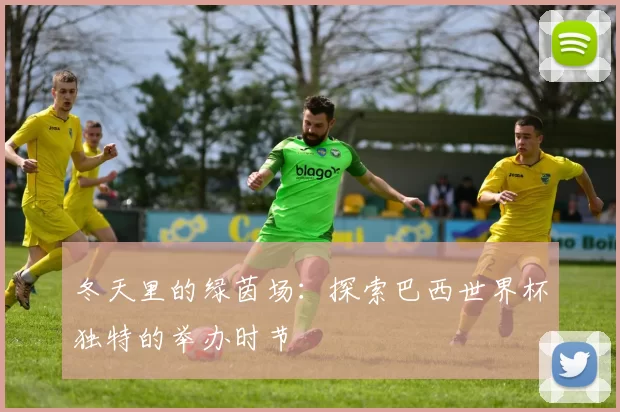 冬天里的绿茵场：探索巴西世界杯独特的举办时节