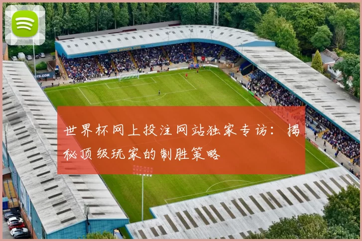 世界杯网上投注网站独家专访：揭秘顶级玩家的制胜策略