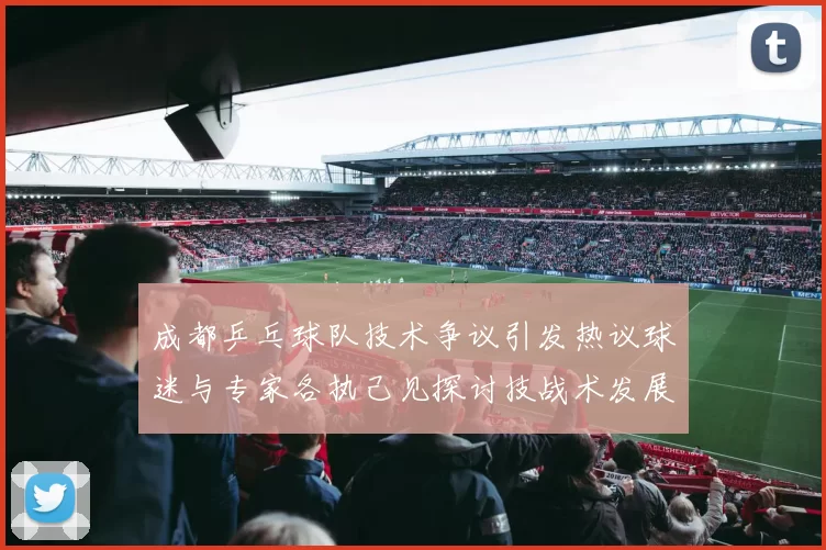 成都乒乓球队技术争议引发热议球迷与专家各执己见探讨技战术发展