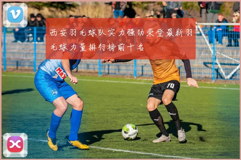 西安羽毛球队实力强劲荣登最新羽毛球力量排行榜前十名