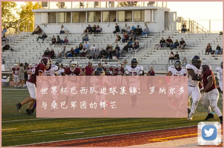 世界杯巴西队进球集锦:罗纳尔多与桑巴军团的锋芒