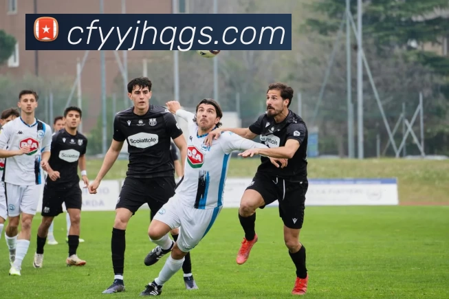 平台展示图